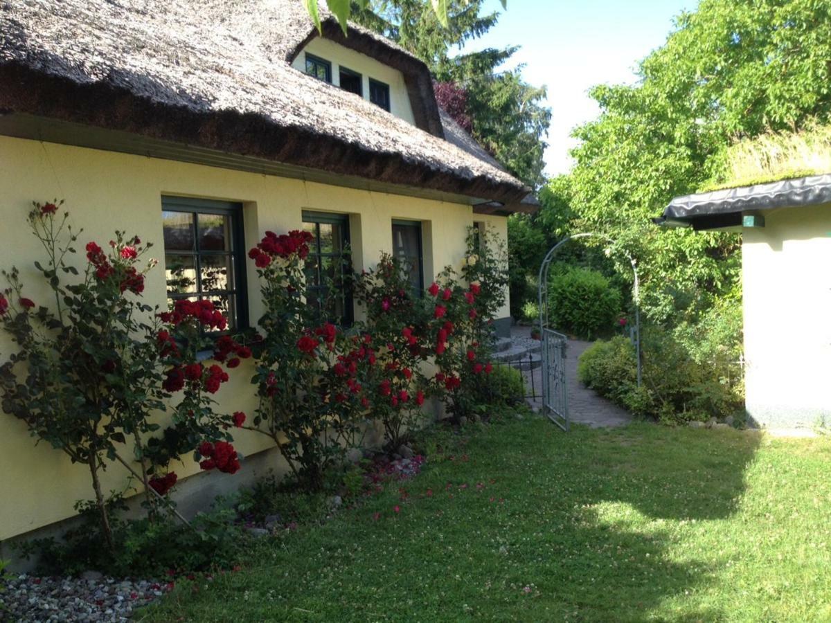 Ferienwohnung Urlaub unter Reet Bergen Auf Rugen Exterior foto